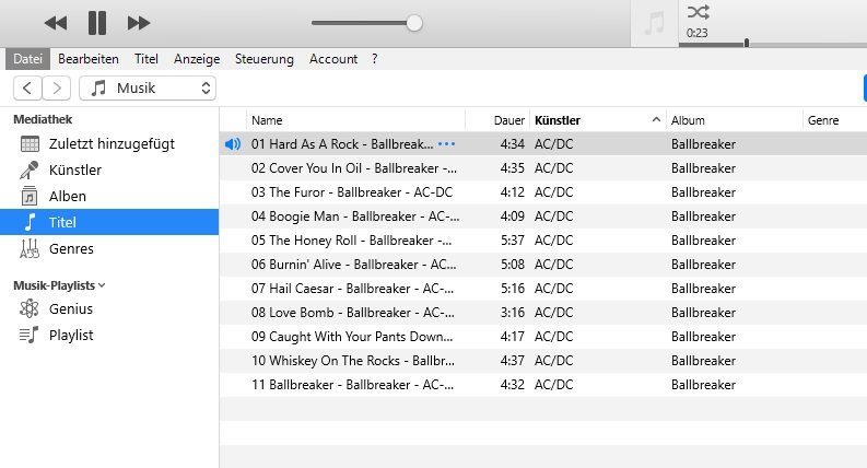 iTunes Media Player in Aktion