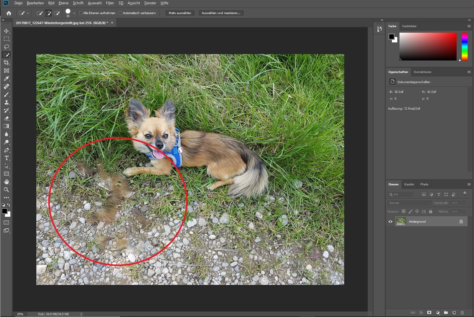 Adobe Photoshop CC Test Screenshot